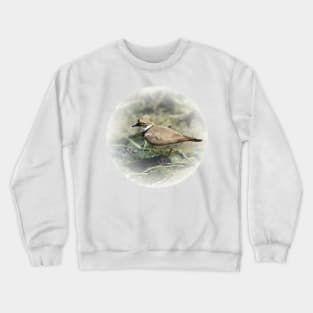 Little ringed plover Crewneck Sweatshirt